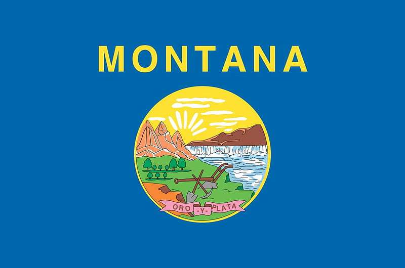 picture of montana flag