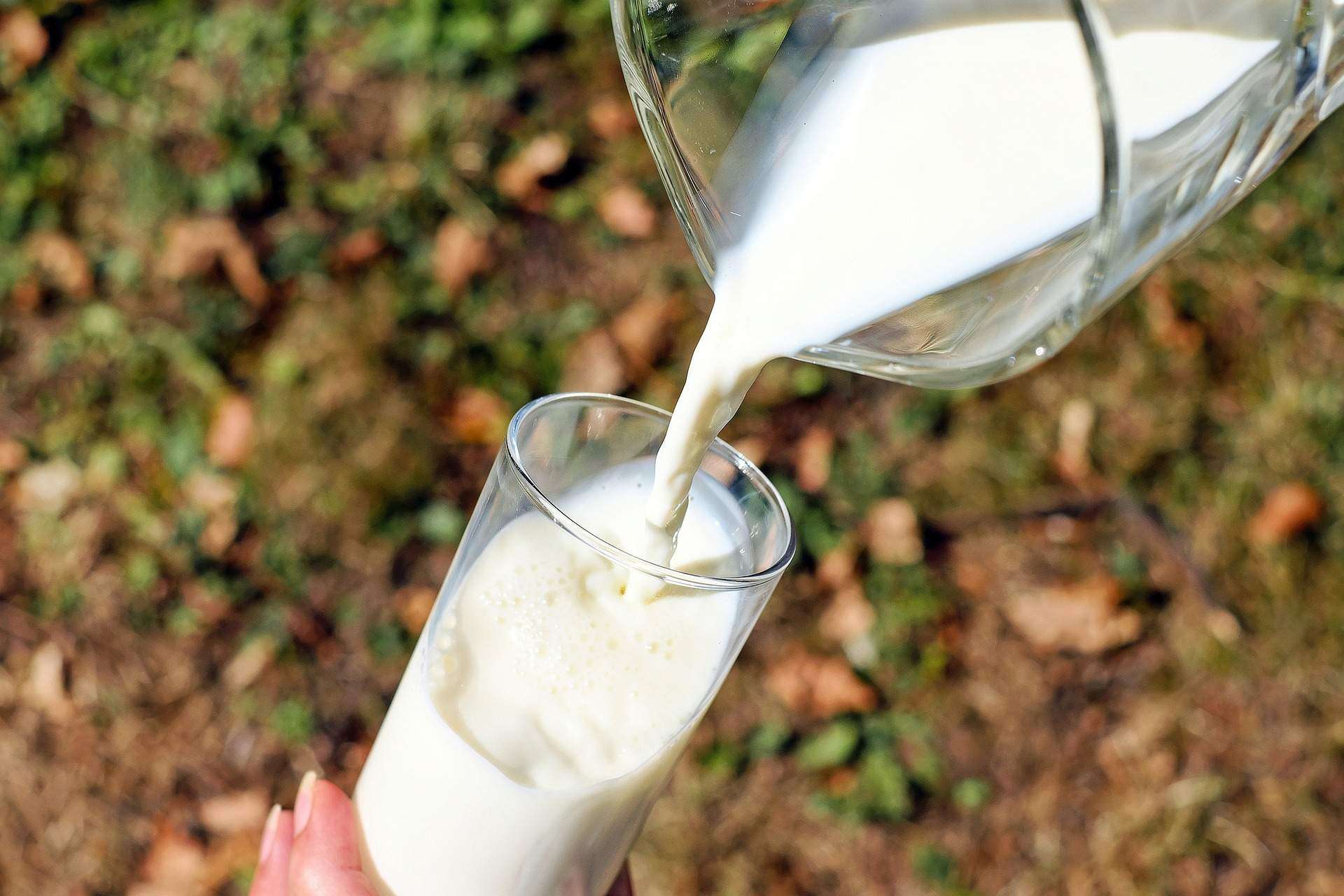 photo of glass of milk