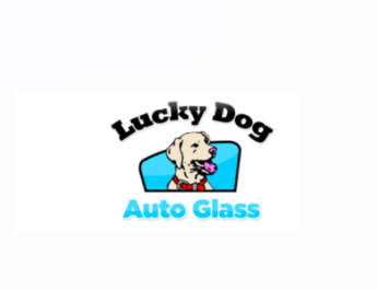 lucky dog auto glass