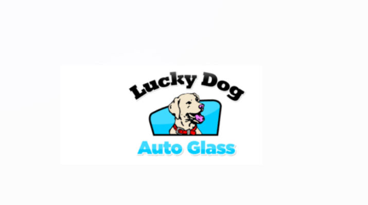 lucky dog auto glass