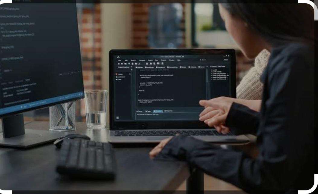 Software Program Verse Project How to Seek the Best Custom Software - AMLP Verse