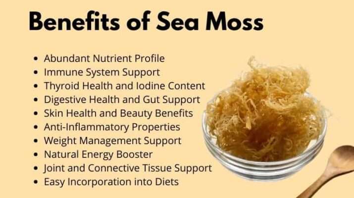 Benefits of Sea Moss